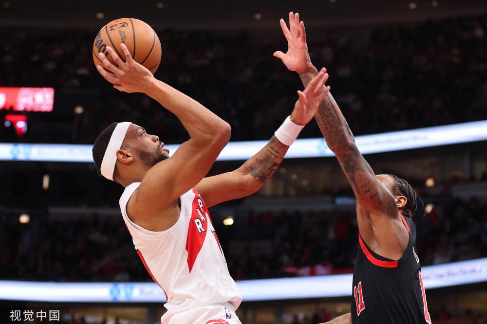 专业技术 专业技术